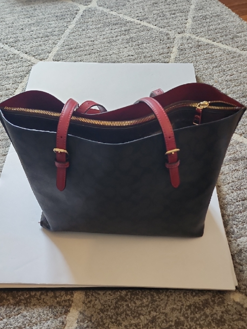 Coach Mollie Tote. PROJECT BAG. - Picture 3 of 15